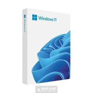 Windows 11